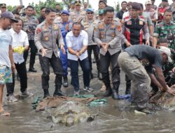 Lima Penyu Hijau Dilepasliarkan Oleh Kapolda Bali dan Bupati Jembrana di Pantai Perancak