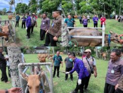Dinas Pertanian Dan Pangan Kabupaten Jembrana Terus Lakukan Upaya Peningkatan Kesehatan Hewan Ternak