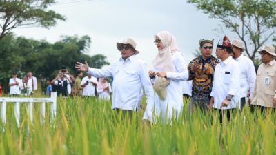 Banyuwangi Luncurkan “Sunwangi”: Beras Biofortifikasi Bernutrisi Tinggi Pertama Skala Industri di Indonesia