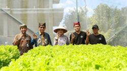 Dua Pemuda Jebolan Jagoan Tani Banyuwangi yang Sukses Budidaya Hidroponik Selada