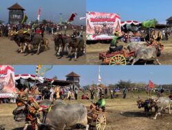 Sapu Bersih Semua Kategori, Regu Ijogading Barat Sabet Juara Umum Festival Mekepung Jembrana 2026