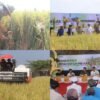 Sinergi Kementan dan Pemkab Jembrana Wujudkan Lumbung Pangan Modern Berkelanjutan