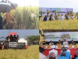 Sinergi Kementan dan Pemkab Jembrana Wujudkan Lumbung Pangan Modern Berkelanjutan