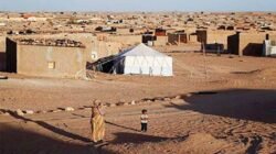 Skandal Korupsi dan Ponzi Polisario Terbongkar, Persisma Desak PBB Bubarkan Kamp Tindouf