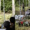 Pemkab Jembrana Salurkan Bantuan Traktor Kementan dan Panen Puluhan Ton Labu di Melaya